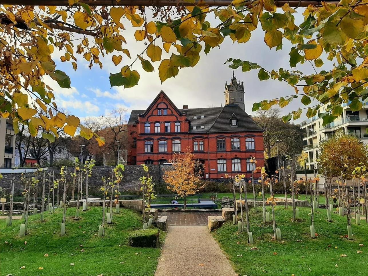 Back To School Apartment Andernach Bagian luar foto