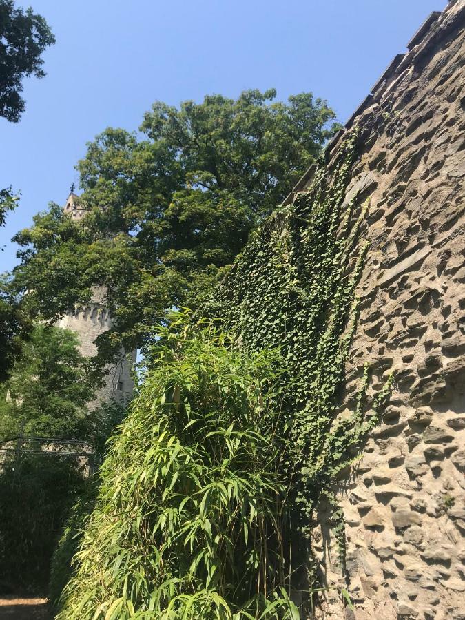 Back To School Apartment Andernach Bagian luar foto